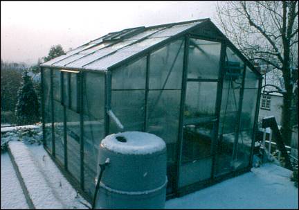 Succulent plant greenhouse in winter